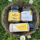 Spring Box